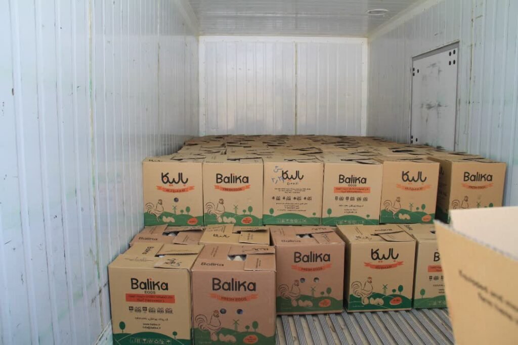 WhatsApp Image 2025-08-11 at 18.35.25