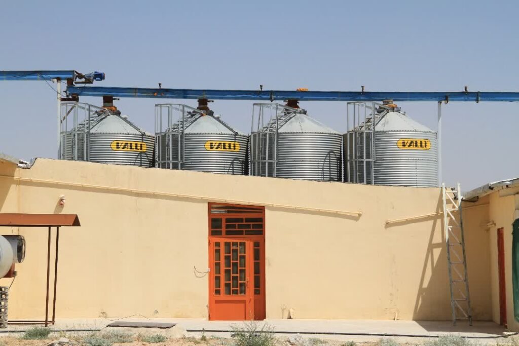 WhatsApp Image 2025-08-11 at 18.35.32