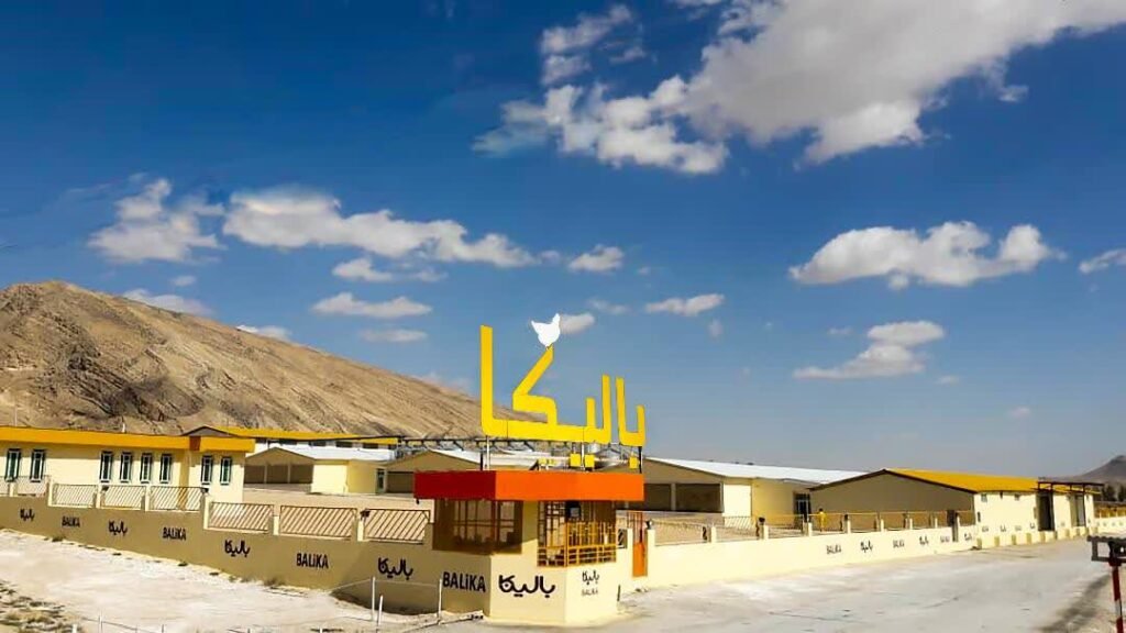 WhatsApp Image 2025-08-11 at 18.35.37